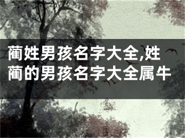 蔺姓男孩名字大全,姓蔺的男孩名字大全属牛