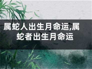 属蛇人出生月命运,属蛇者出生月命运