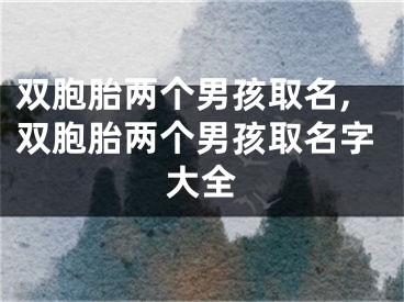 双胞胎两个男孩取名,双胞胎两个男孩取名字大全