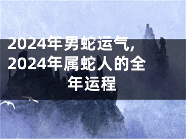 2024年男蛇运气,2024年属蛇人的全年运程