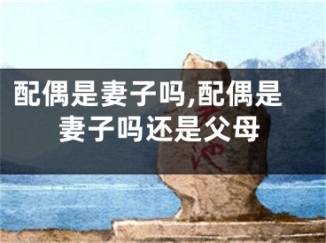 配偶是妻子吗,配偶是妻子吗还是父母