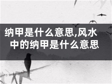 纳甲是什么意思,风水中的纳甲是什么意思
