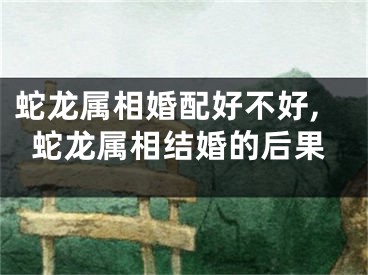 蛇龙属相婚配好不好,蛇龙属相结婚的后果