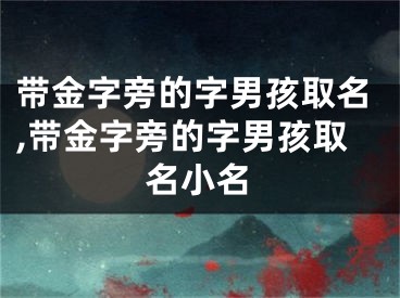 带金字旁的字男孩取名,带金字旁的字男孩取名小名