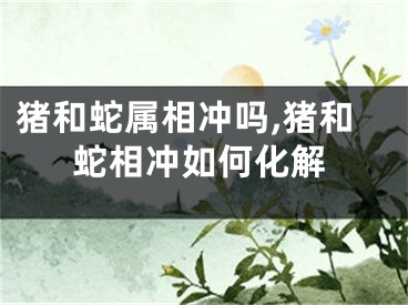 猪和蛇属相冲吗,猪和蛇相冲如何化解