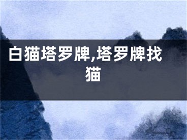 白猫塔罗牌,塔罗牌找猫