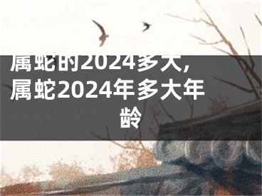 属蛇的2024多大,属蛇2024年多大年龄