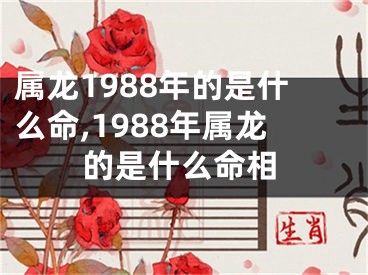 属龙1988年的是什么命,1988年属龙的是什么命相