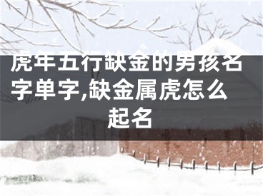 虎年五行缺金的男孩名字单字,缺金属虎怎么起名
