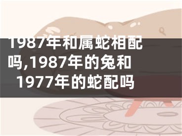 1987年和属蛇相配吗,1987年的兔和1977年的蛇配吗