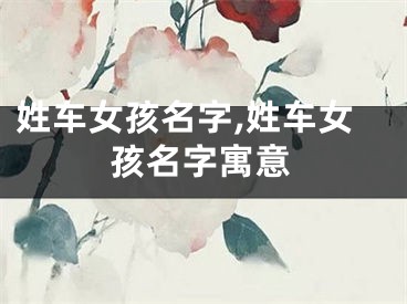 姓车女孩名字,姓车女孩名字寓意