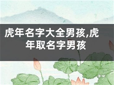 虎年名字大全男孩,虎年取名字男孩
