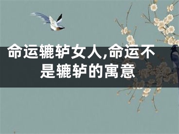 命运辘轳女人,命运不是辘轳的寓意