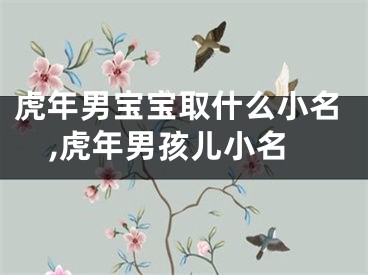 虎年男宝宝取什么小名,虎年男孩儿小名