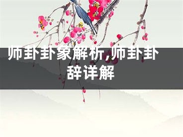 师卦卦象解析,师卦卦辞详解