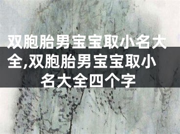 双胞胎男宝宝取小名大全,双胞胎男宝宝取小名大全四个字