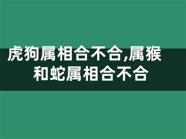 虎狗属相合不合,属猴和蛇属相合不合