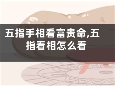五指手相看富贵命,五指看相怎么看