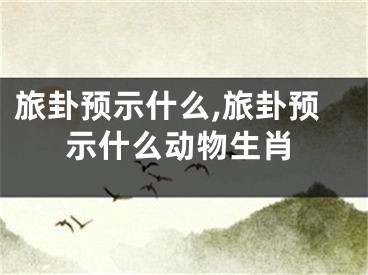 旅卦预示什么,旅卦预示什么动物生肖