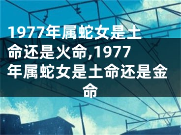 1977年属蛇女是土命还是火命,1977年属蛇女是土命还是金命