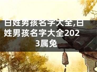 白姓男孩名字大全,白姓男孩名字大全2023属兔