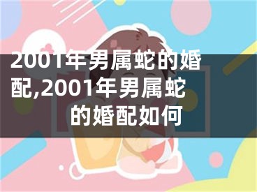 2001年男属蛇的婚配,2001年男属蛇的婚配如何