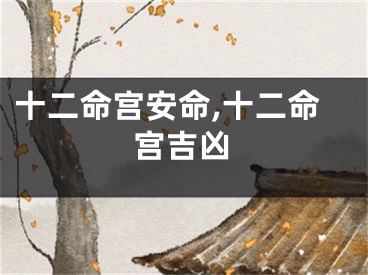 十二命宫安命,十二命宫吉凶