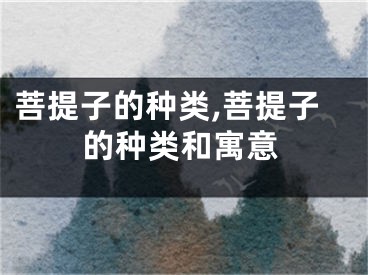 菩提子的种类,菩提子的种类和寓意