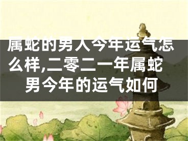 属蛇的男人今年运气怎么样,二零二一年属蛇男今年的运气如何