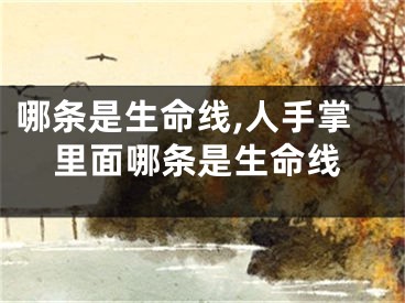 哪条是生命线,人手掌里面哪条是生命线