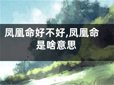 凤凰命好不好,凤凰命是啥意思