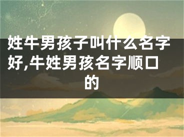 姓牛男孩子叫什么名字好,牛姓男孩名字顺口的