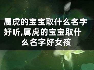 属虎的宝宝取什么名字好听,属虎的宝宝取什么名字好女孩