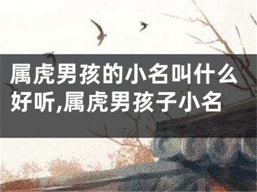 属虎男孩的小名叫什么好听,属虎男孩子小名