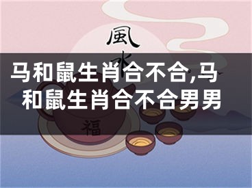 马和鼠生肖合不合,马和鼠生肖合不合男男