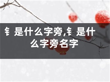 钅是什么字旁,钅是什么字旁名字