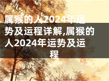 属猴的人2024年运势及运程详解,属猴的人2024年运势及运程