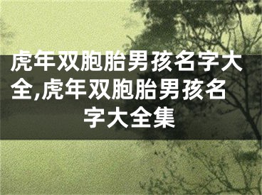 虎年双胞胎男孩名字大全,虎年双胞胎男孩名字大全集