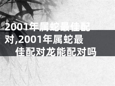 2001年属蛇最佳配对,2001年属蛇最佳配对龙能配对吗