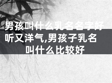 男孩叫什么乳名名字好听又洋气,男孩子乳名叫什么比较好