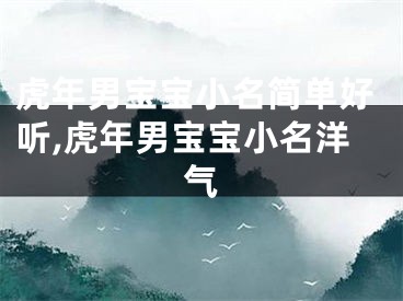 虎年男宝宝小名简单好听,虎年男宝宝小名洋气