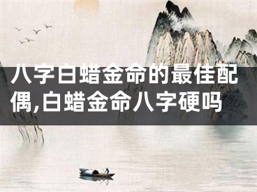 八字白蜡金命的最佳配偶,白蜡金命八字硬吗