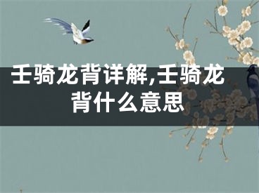 壬骑龙背详解,壬骑龙背什么意思