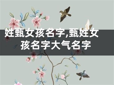 姓甄女孩名字,甄姓女孩名字大气名字