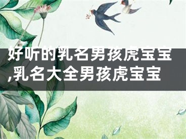 好听的乳名男孩虎宝宝,乳名大全男孩虎宝宝