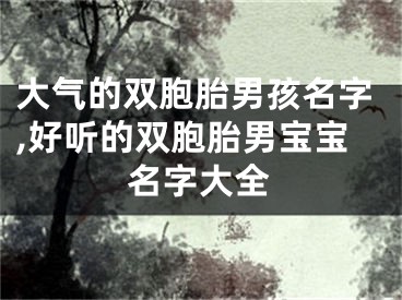 大气的双胞胎男孩名字,好听的双胞胎男宝宝名字大全