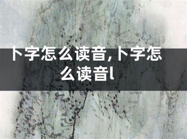 卜字怎么读音,卜字怎么读音l