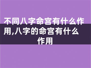 不同八字命宫有什么作用,八字的命宫有什么作用