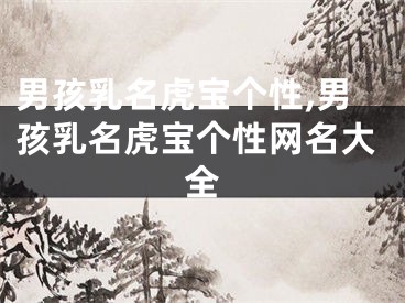 男孩乳名虎宝个性,男孩乳名虎宝个性网名大全