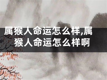 属猴人命运怎么样,属猴人命运怎么样啊